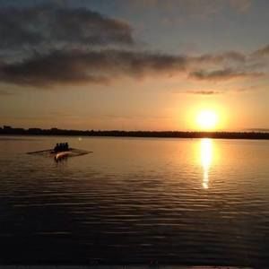 Meet your Posher, Liz